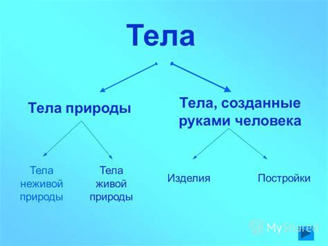 Организация постройки тела