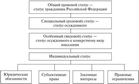 Организация правового статуса и регистрация