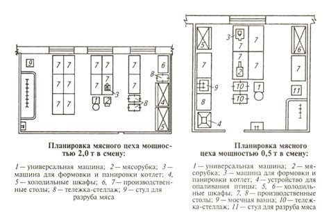 Организация процесса закупки и приготовления страусового мяса в соответствии с исламскими правилами