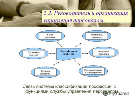 Организация системы классификации