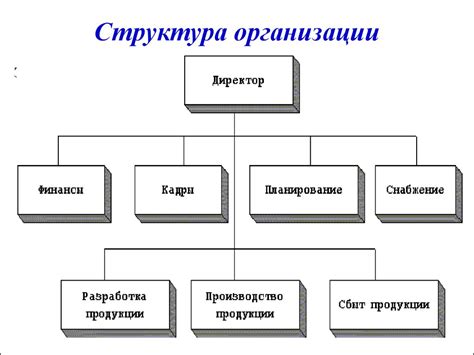 Организация содержания и структуры ППА