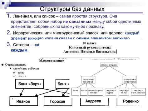 Организация структуры и связей в БДД