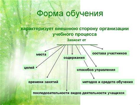 Организация учебного процесса при заочном обучении