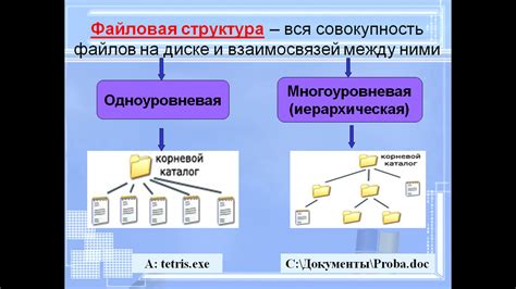 Организация файловой структуры