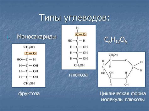 Организм и различные типы углеводов