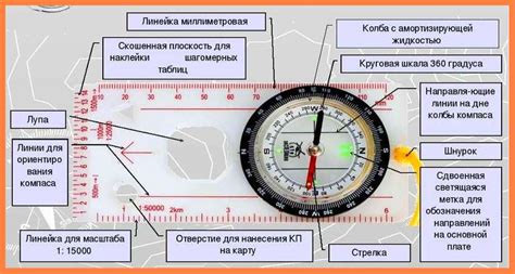 Оригинальный механизм и принцип работы компаса