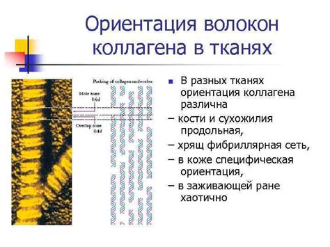 Ориентация текстуры волокон