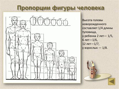 Ориентировочные пропорции и поза статуи