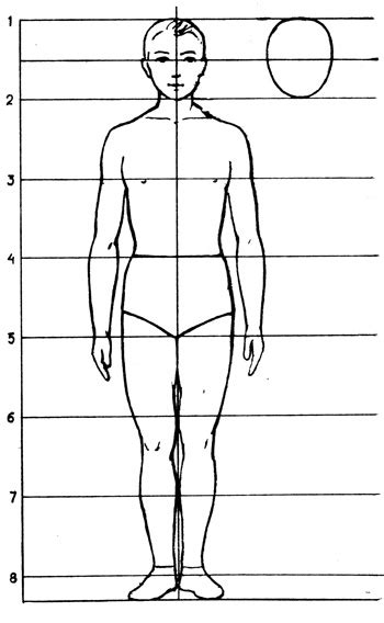 Освоение основных пропорций тела