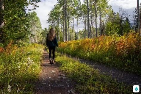 Осенние прогулки в лесу: польза для здоровья