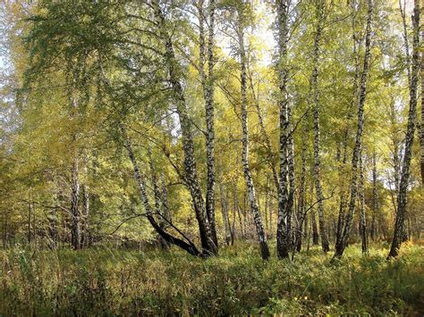 Осень - время, когда зелень уступает место ярким краскам