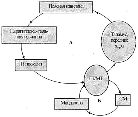 Ослабление внутренних связей