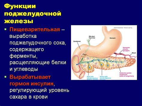 Ослабление функции поджелудочной железы