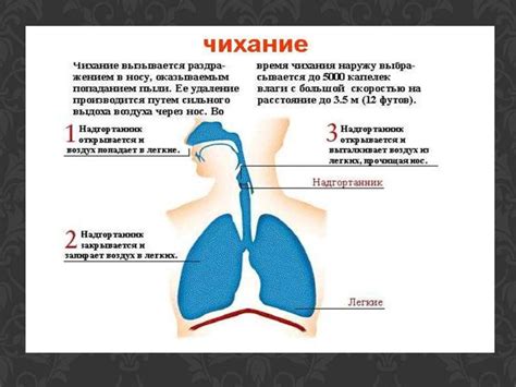 Ослабленная защитная функция слизистых оболочек