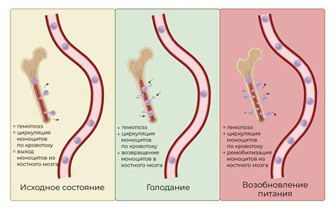 Ослабленное иммунитет