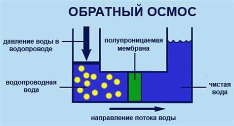 Осмос: как соль делает воду незамерзающей