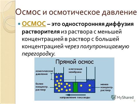 Осмотическое давление в корнях растений