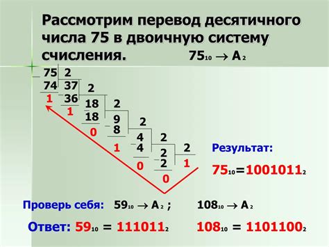 Основание двоичной системы