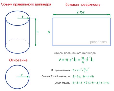 Основания цилиндра