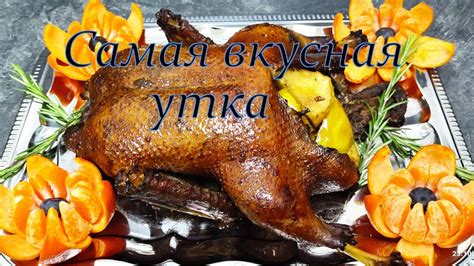 Основа вкуса: самая вкусная утка шипуна