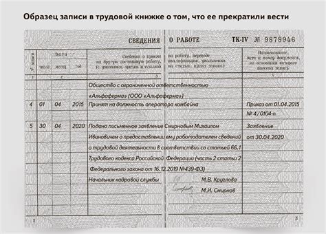 Основная информация в электронной трудовой книжке