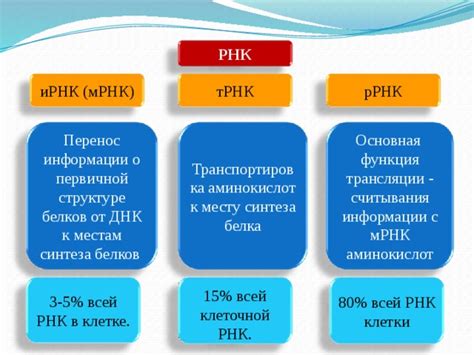 Основная информация о ТРНК и ИННК