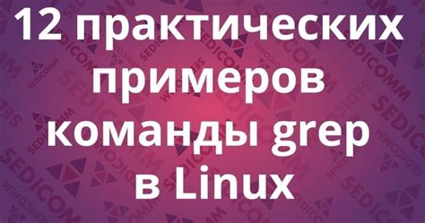 Основная функциональность команды grep