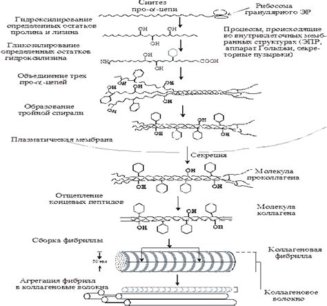 Основной этап: связывание пуфика