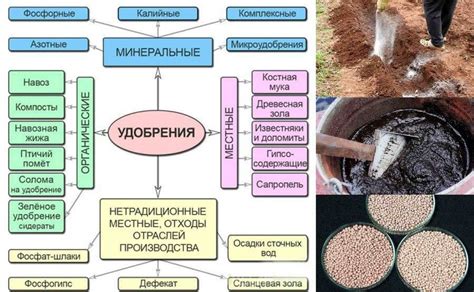 Основные виды удобрений для актерской орхидеи