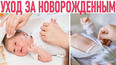 Основные вопросы и ответы о заботе за новорожденным в роддоме