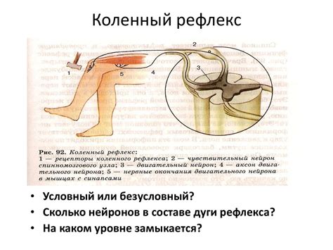 Основные движения: пуш и торможение