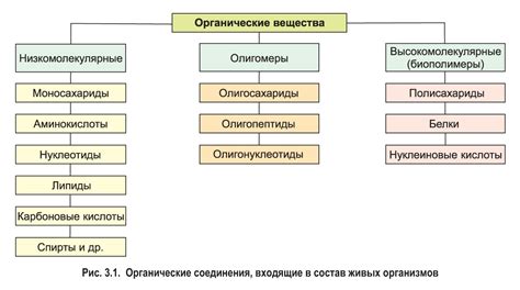 Основные классы энзимов и их функции