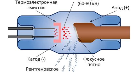 Основные компоненты рентгеновской трубки