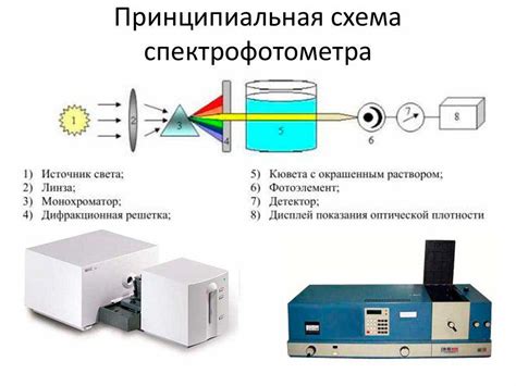 Основные компоненты флуориметра: источник света и детектор