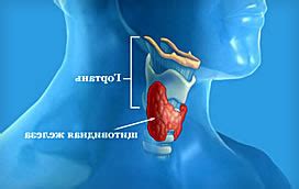 Основные методы диагностики заболеваний щитовидной железы