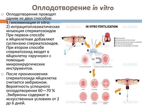 Основные методы диагностики яйцеклеток