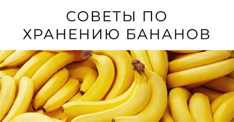 Основные методы хранения бананов на зиму