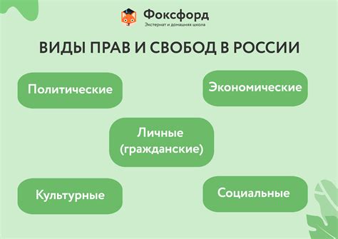 Основные моменты и права граждан - рассмотрим вопрос