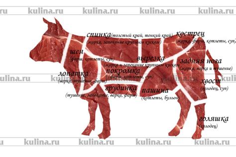 Основные моменты на этапе подготовке мяса