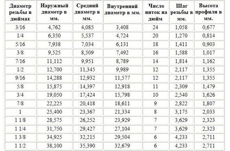 Основные параметры диаметра манежа: как выбрать исходя из цели шоу