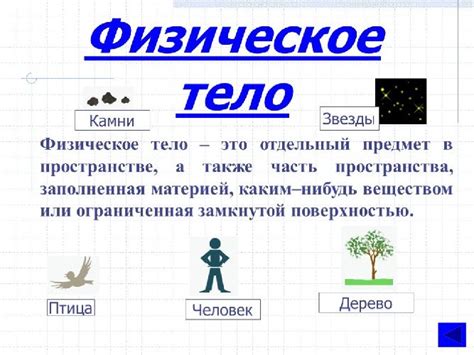 Основные понятия в физике тела