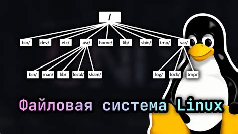 Основные понятия директорий в Linux