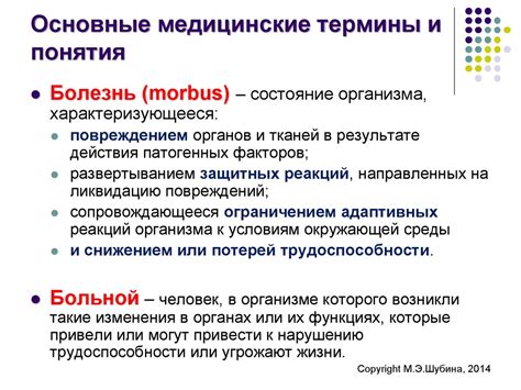 Основные понятия и термины в настройке моста Микротик