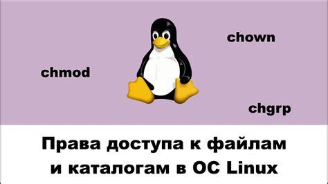 Основные права доступа к файлам и директориям в Linux