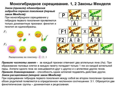 Основные правила использования промежуточного наследования