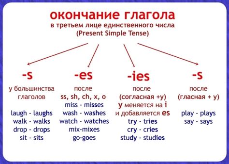 Основные правила использования Present Simple в английском языке