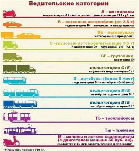 Основные правила и ограничения для водителя категории Б3