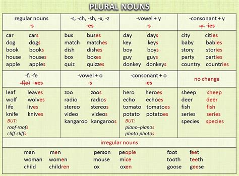 Основные правила образования множественного числа в английском языке