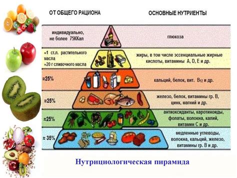 Основные правила питания для здоровья и благополучия