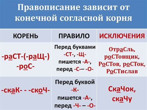 Основные правила правописания слов